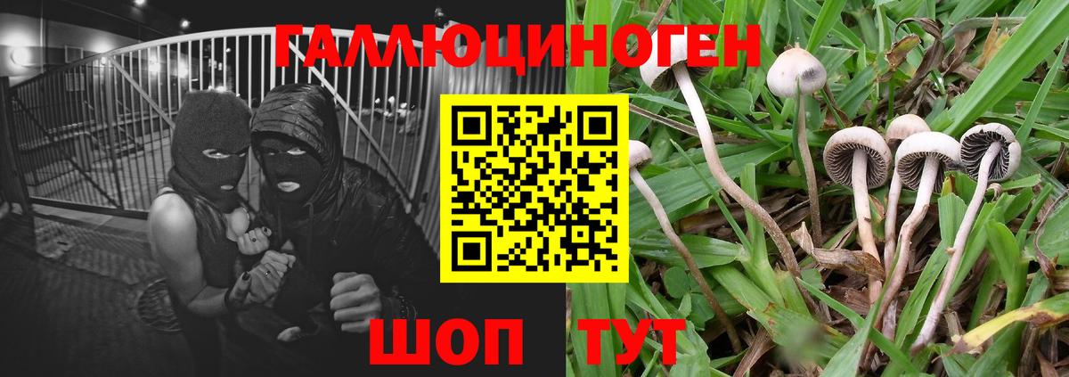 Галлюциногенные грибы Cubensis  Псилоцибиновые грибы Magic Shrooms  Вход с VPN  Ликино-Дулёво 